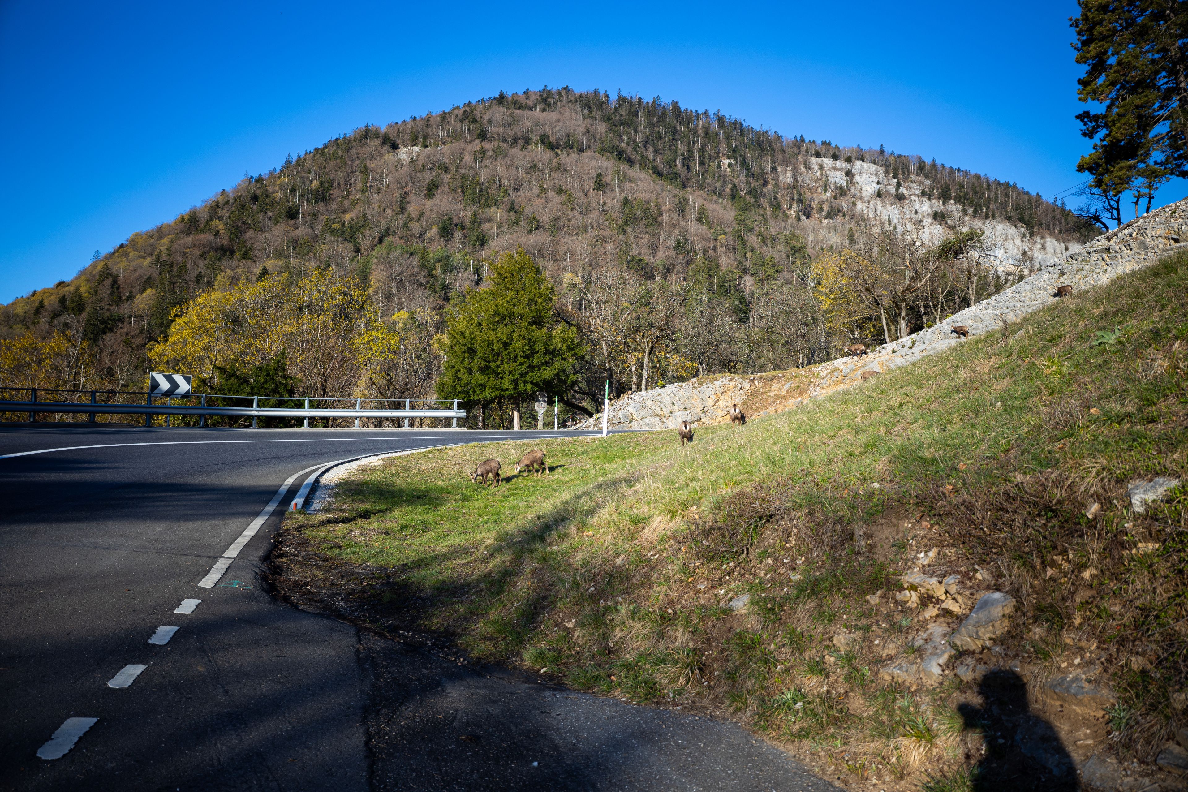 Velotour nach Frankreich